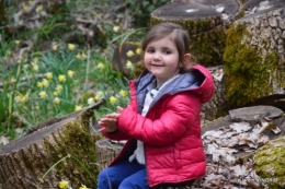 les jonquilles des bois 037.jpg