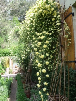 annee 2011 759.JPG