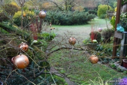 chevreuils,givre jardin et canal,marché de Noel Sarlat 067.JPG