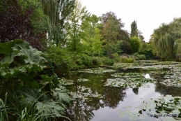 bouquet,jardin de Monet,les vaches,Pourville sur mer 095.JPG