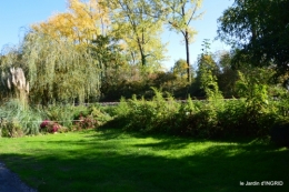 jardin automne,voisinage,canal 155.JPG