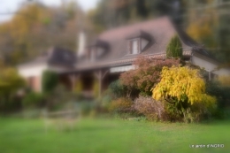 troc,automne,serre 028.JPG
