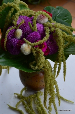 tournesols,pt jardin,nénuphard,libellules,lavande bouquet,carava 119.JPG