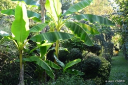 panier,composition,St Astier,jardin,lavande 065.JPG
