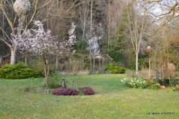 semis,taille,tonte,tour du jardin 049.JPG