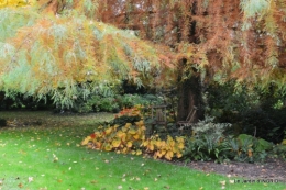 les arbres en automne,cabane 036.JPG