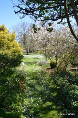 jardin printemps 006.JPG