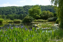 les jardins d'eau de Carsac 100.JPG
