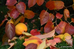 les arbres en automne,cabane 053.JPG