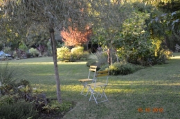 citrouilles,jardin,Combarel 035.JPG