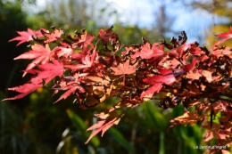 anniversaire Mamy,chateau d'eau,jardin automne 080.JPG