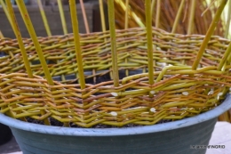 l'osier,stuctures,fleurettes printemps 035.JPG