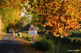 jardin automne,voisinage,canal 078.JPG