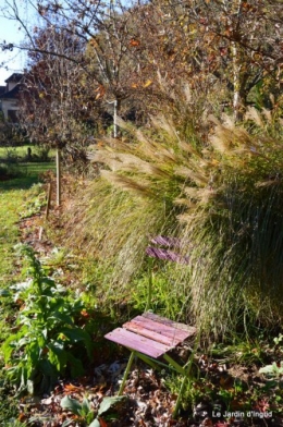 dernières automne,givre,chat 070.JPG