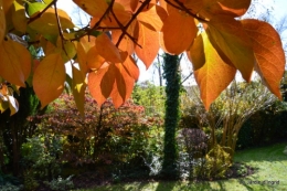 anniversaire Mamy,chateau d'eau,jardin automne 089.JPG