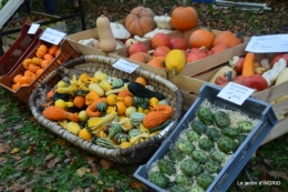 Issigeac,citrouilles ,rhus,automne,jardin 013.JPG