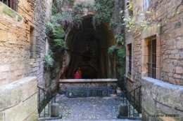 décos Noel au jardin,Sarlat,étoile en osier 108.jpg