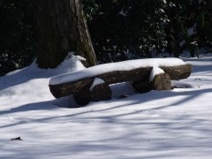 janvier fevrier 2012 110.JPG