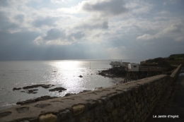Royan,les cigognes,helebores 069.JPG