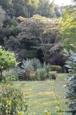 brocante Beaumont,jardin,flambé,hemerocalle,potager 053.JPG