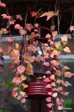 couleurs d'automne,bouquet,lune 119.JPG