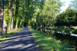 retombantes,puces Lalinde Trémolat,vieilles motos,gouttes,jardin 148.JPG