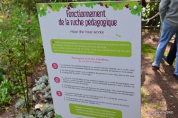 pigeons,Conives,Belves filature,jardin Limeuil 259.JPG