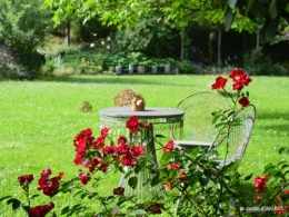 les roses,les 4 filles,jardin,Julie,coquelicots,cygnes 157.JPG