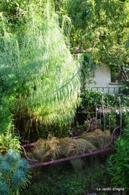 jardin,les filles,fleurs Peyrichou 033.JPG