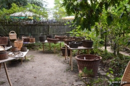 mariage,jardin,la Brande,figues 165.JPG