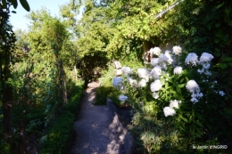 pigeons,jardin,anniversaire Ines,cygnes 032.JPG