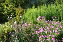 moi,Trémolat,Limeuil,Mombazillac,Bridoire,chèvres Banes,jardin,R 179.JPG
