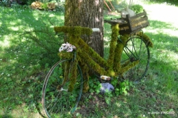 Tour du jardin mai avant et apres tonte 060.JPG