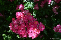 chez Fabien,tour du jardin,épouvantails 050.JPG