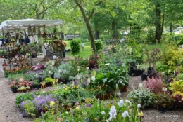 Fouleix,canal,Bernadette,Issigeac,jardin 078.JPG
