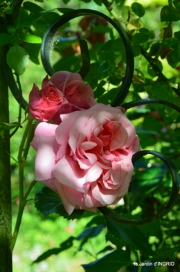les roses,les 4 filles,jardin,Julie,coquelicots,cygnes 024.JPG