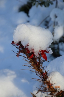 neige sous le soleil 068.JPG