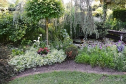 jardin soir et matin 062.JPG