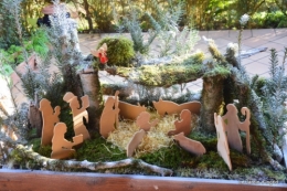 chevreuils,givre jardin et canal,marché de Noel Sarlat 096.JPG