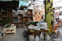première gelée,décos Noel Jardiland Proflora 086.JPG