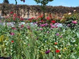 Normandie,jardin Monet,baie de Somme,chez Marylaur 186.JPG