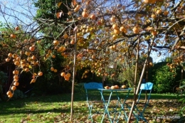 décos,kakis,automne 035.JPG