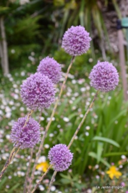 jardin,visites enfants 113.JPG