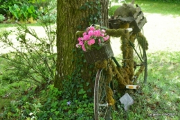 jardin en mai,visites bus,petit jardin 164.JPG
