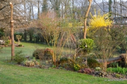 semis,taille,tonte,tour du jardin 050.JPG