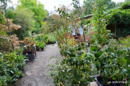 mariage,jardin,la Brande,figues 146.JPG