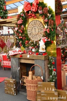 première gelée,décos Noel Jardiland Proflora 093.JPG