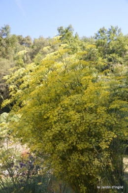 coulobre,Romane,jardin,Lamonzie Monstatruc,les filles 202.JPG