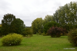 DSC_0339.JPG