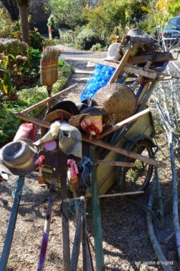 jardin automne ,petits roses 086.JPG